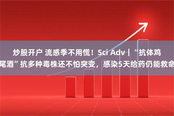 炒股开户 流感季不用慌！Sci Adv｜“抗体鸡尾酒”抗多种毒株还不怕突变，感染5天给药仍能救命