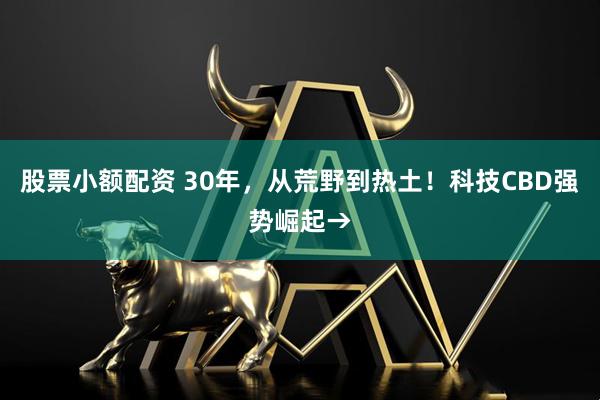 股票小额配资 30年，从荒野到热土！科技CBD强势崛起→