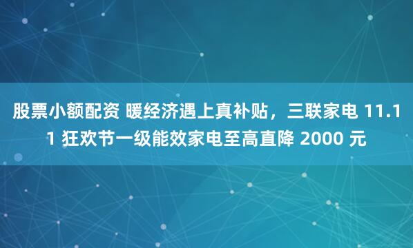 股票小额配资 暖经济遇上真补贴，三联家电 11.11 狂欢节一级能效家电至高直降 2000 元